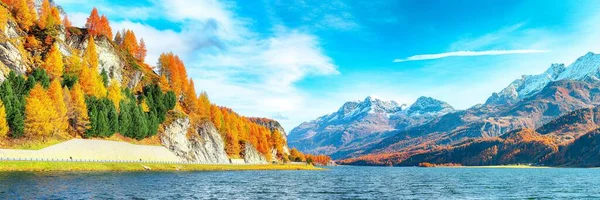 Lenyűgöző Őszi Jelenet Svájci Alpokban Kilátás Nyílik Sils Tóra Silsersee — Stock Fotó
