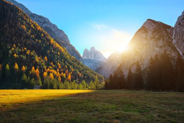 Ulusal Park Tre Cime di Lavaredo 'daki çayır manzarası. Konum: Ulusal Park Tre Cime di Lavaredo, Dolomiti Alpleri, Güney Tyrol, İtalya, Avrupa.