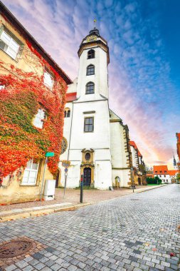 Stadtkirche Sankt Marien Kilisesi 'nin büyüleyici sonbahar manzarası. Elbe kıyısındaki Torgau kasabasının resimli görüntüsü. Konum: Torgau, Kuzeybatı Saksonya, Almanya, Europ