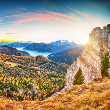 Günbatımında sarı tarlakuşları ve şaşırtıcı Marmolada dağlarıyla sonbahar manzarası. Konum: Falzarego geçişi, Cortina d 'Ampezzo, Dolomiti, Güney Tyrol, İtalya, Avrupa.