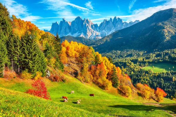 Herbstliche Szenerie Des Berühmten Italienischen Dolomitendorfes Santa Magdalena Vor Den — Stockfoto