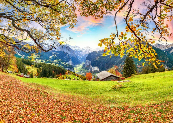 Fabulous Autumn View Picturesque Alpine Wengen Village Lauterbrunnen Valley Jungfrau — Stock Photo, Image