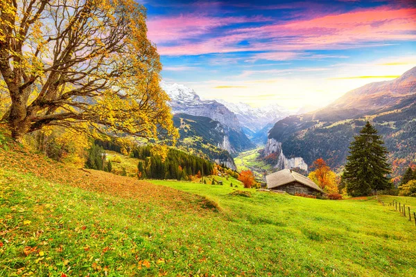 Herrlicher Herbstblick Auf Das Malerische Bergdorf Wengen Und Das Lauterbrunnental — Stockfoto