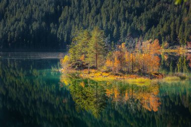 Eibsee gölünün ortasında çam ağaçları olan adaların muhteşem sonbahar manzarası. Konum: Eibsee Gölü, Garmisch-Partenkirchen, Bavyera Eyaleti, Almanya, Avrupa