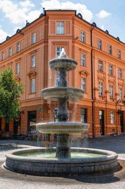Slovenya 'nın tarihi Ljubljana kentinde dekoratif nehir kenarı çeşmesi