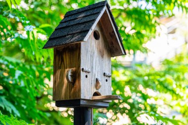 Slovenya 'nın Ljubljana kentindeki ortaçağ şatosunu çevreleyen ormandaki ahşap kuş evi