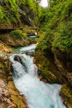 Slovenya 'nın Vintgar Vadisi' ndeki kayaların arasından akan şelale.