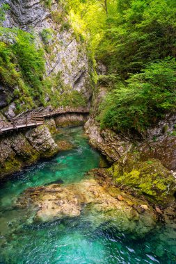 Slovenya 'nın Vintgar Vadisi' nde yürüyüş yapmak için kayalara bağlı ahşap kaldırım.