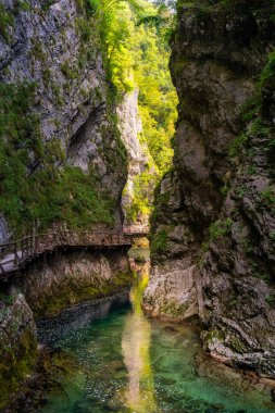 Slovenya 'nın Vintgar Vadisi' nde yürüyüş yapmak için kayalara bağlı ahşap kaldırım.