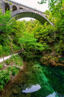 Yeşillik boyunca uzanan kemerli köprü Vintgar Vadisi, Slovenya