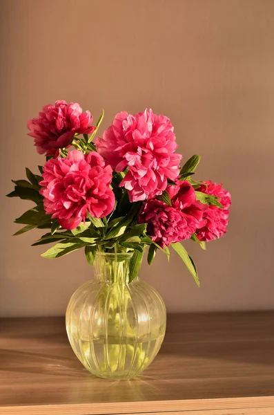 Vers boeket van roze pioenrozen pioen rozen bloemen in een vaas op tafel in de kamer. Een gift aan een dag van moeders. Achtergrond van de zonnige dag. Bloesem behang. Kaart, kopie ruimte. — Stockfoto