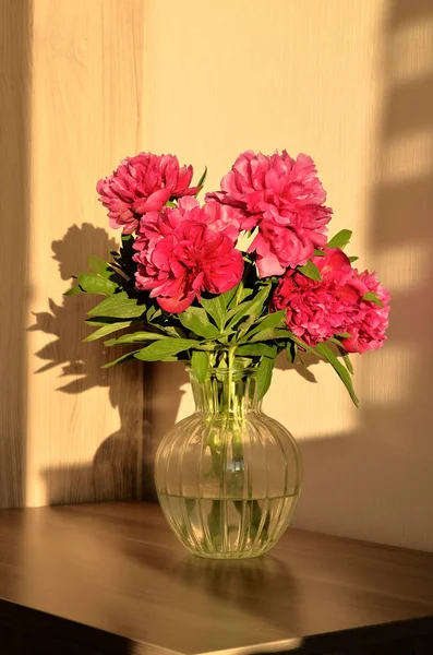 Concetto di natura morta. Bouquet fresco di peonie rosa peonia rose fiori in un vaso sul tavolo in camera. Un regalo per la giornata delle mamme. Sfondo giornata soleggiata. Carta da parati fiore. Carta, copiare spazio . — Foto Stock