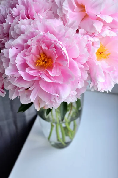 Свежий букет розовых пионов пионы цветы розы в вазе на белом окне, на заднем плане. Белый стол. Белые обои. Белый декор. Цветы в комнате . — стоковое фото