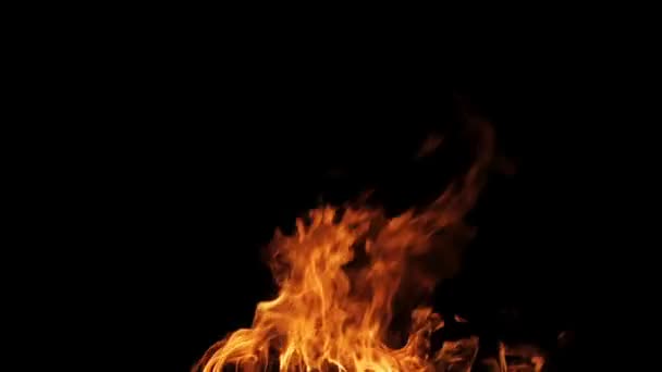 Real fire isolated on black background loop video — Stock Video