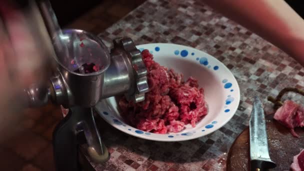 Een kleine handleiding vleesmolen wordt gebruikt voor het koken van gehakt vlees — Stockvideo