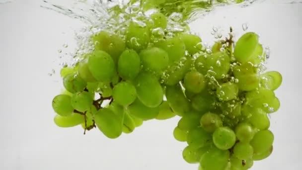 Bouquet de raisins verts tombant dans l'eau avec des bulles au ralenti. Baies sur fond blanc . — Video