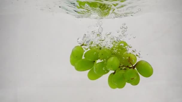 Les raisins verts mûrs tombent dans l'eau pure avec des bulles. Baies de raisin sur fond blanc au ralenti . — Video