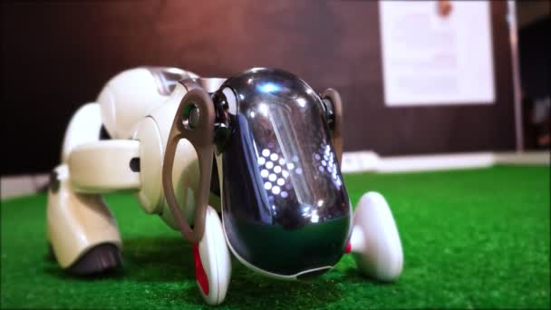 Ρομπότ κατοικίδιο ζώο το σκυλί παίρνει ένα παιχνίδι στο στόμα — Αρχείο Βίντεο