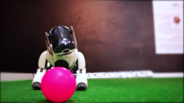 Witte hond robot nadert langzaam speelgoed bal — Stockvideo