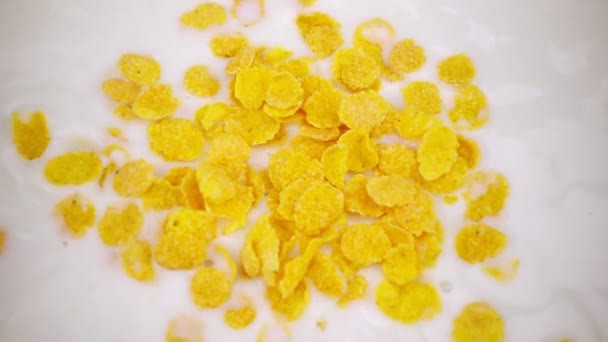 Cornflakes en frambozen bessen vallen in de melk in slow motion. — Stockvideo