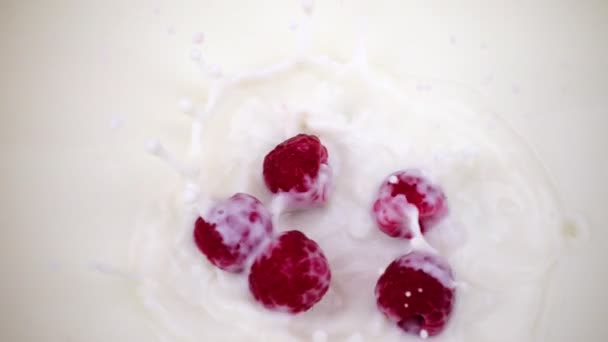 Frambozen vallen in de melk. Slow motion framboos. — Stockvideo