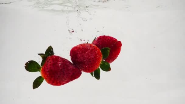 The red strawberries float in the water. Video in slow motion. — Stock Video