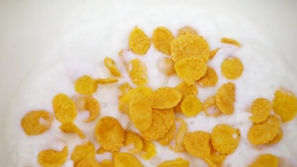 Des flocons de maïs tombant dans le lait. Cornflakes au ralenti . — Video