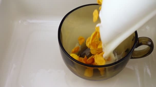 Молоко льется в кукурузные хлопья и клубничную чашу в замедленной съемке . — стоковое видео