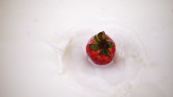 Ett bär av röd jordgubbe faller i mjölken i slow motion. — Stockvideo