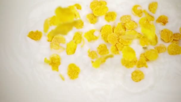 Corn flakes och hallon faller i mjölken. Flingor och bär i slow motion. — Stockvideo