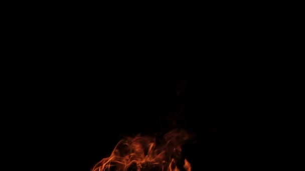 Echtes Feuer isoliert auf schwarzem Hintergrund-Loop-Video — Stockvideo