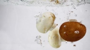 Mantar petrol yavaş yavaş düşer içine kaynar su, ağır çekim yakın çekim