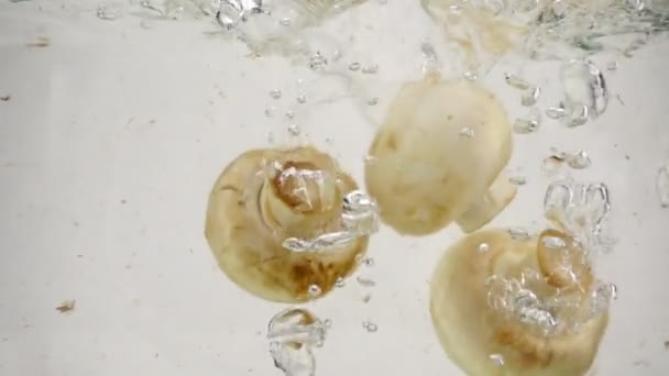 Champignons Pilze fallen langsam in kochendes Wasser, Zeitlupe Nahaufnahme — Stockvideo