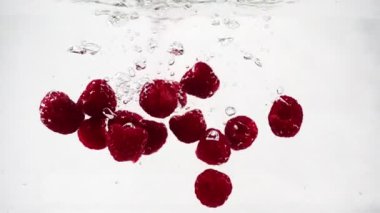 Video Berry izole beyaz zemin üzerinde. Güzel olgun ahududu suya bir sürü küçük kabarcıklar ile düşüyor.
