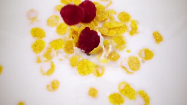 Corn flakes och hallon falla i mjölken i slow motion. — Stockvideo