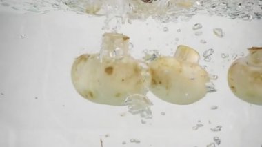 Birçok mantar champignon içine kaynar su, ağır çekim yakın çekim yavaş yavaş battı