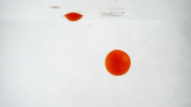 Vijf rijpe cherry tomaat vruchten worden ondergedompeld onder water op een witte achtergrond — Stockvideo
