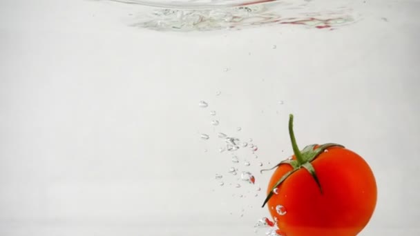 En mogen röd tomat är dyka under vattnet på en vit bakgrund — Stockvideo