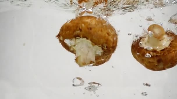 Três champignon marrom cogumelo afunda lentamente em água fervente, câmera lenta close-up — Vídeo de Stock