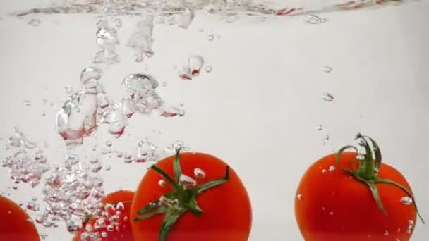 Cuatro tomate rojo con una ramita flota bajo el agua un fondo blanco — Vídeos de Stock