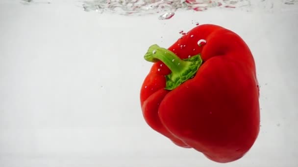 Un pimiento dulce rojo fresco cae en el agua a la derecha con salpicaduras y burbujas sobre un fondo blanco — Vídeos de Stock