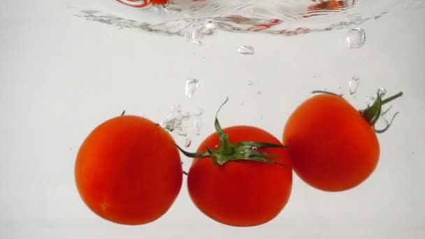 Tres tomates rojos con una ramita flotan bajo el agua un fondo blanco — Vídeo de stock