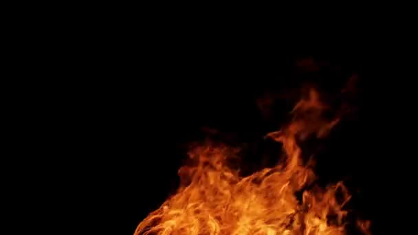 Fuego real aislado en el video de bucle de fondo negro — Vídeos de Stock