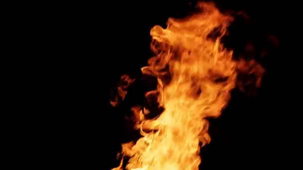 Real fire isolated on black background — Stock Video