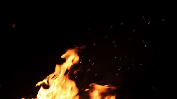 Echtes Feuer isoliert auf schwarzem Hintergrund — Stockvideo