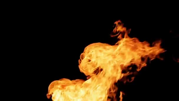 Справжній вогонь ізольовано на чорному фоні циклу відео — стокове відео