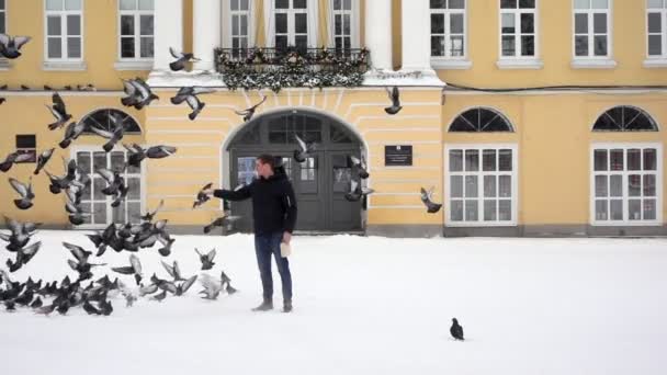 Pigeons flock to a man spreading seeds — Stock Video