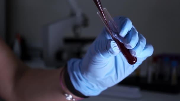 Técnico de laboratorio mujer goteando sangre en el tubo de ensayo, manos de cerca . — Vídeo de stock