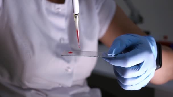 Vrouw laboratorium technicus druppels bloed op glas glijbaan, handen close-up. — Stockvideo