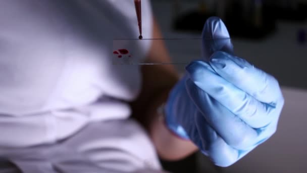 Tecnico di laboratorio che gocciola sangue umano reale su un vetro scorrevole — Video Stock